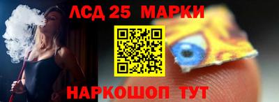 крисы Новозыбков
