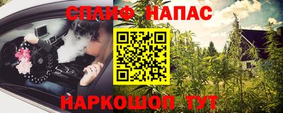 крисы Новозыбков