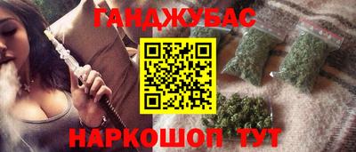 крисы Новозыбков