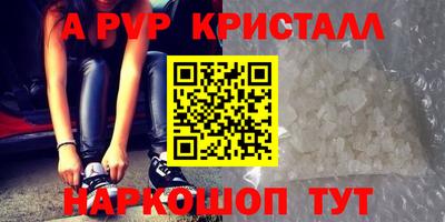 крисы Новозыбков
