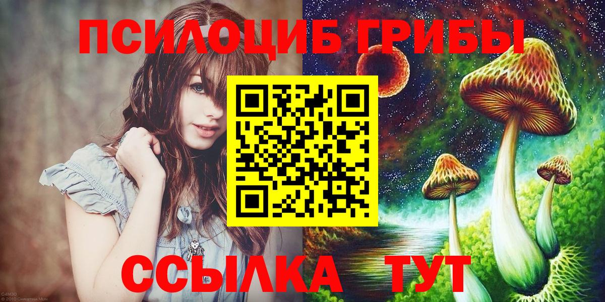 Киржач  Псилоцибиновые грибы ЛСД  Псилоцибиновые грибы Psilocybe  Вход с VPN 